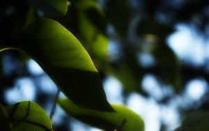 成本控制